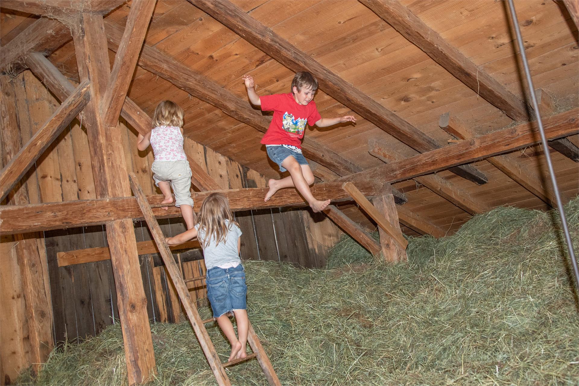 Maso Wieserhof Fiè allo Sciliar 26 suedtirol.info