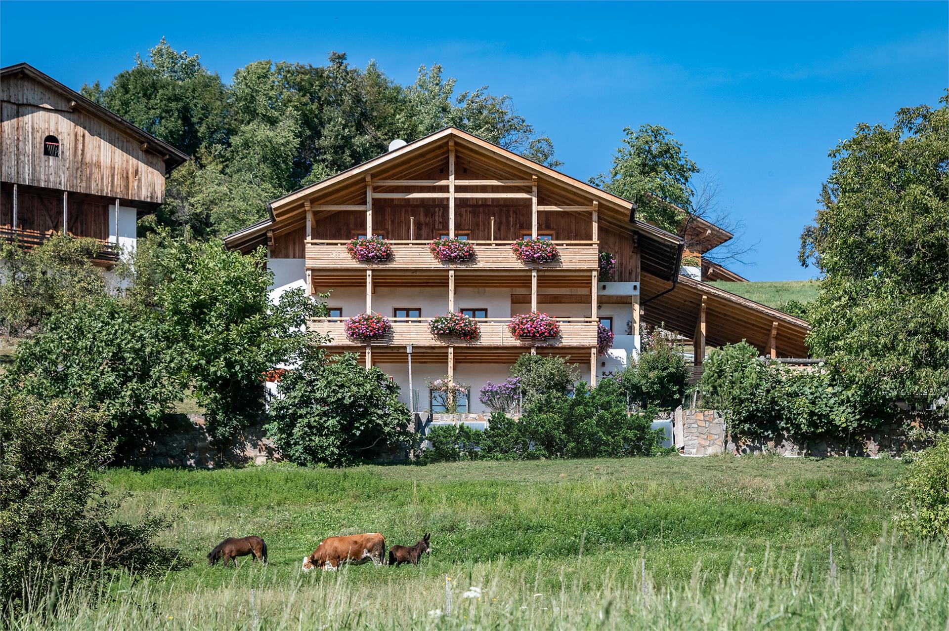 Maso Wieserhof Fiè allo Sciliar 3 suedtirol.info