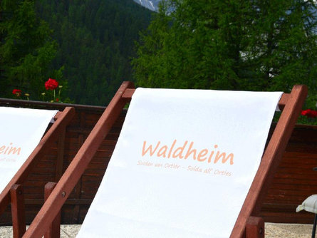 Waldheim Stilfs/Stelvio 7 suedtirol.info