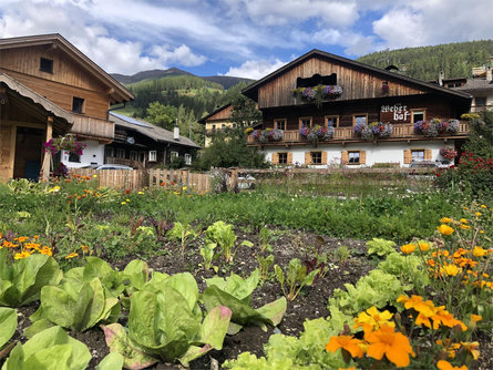 Weberhof - Hannes Pfeifhofer Sesto 8 suedtirol.info