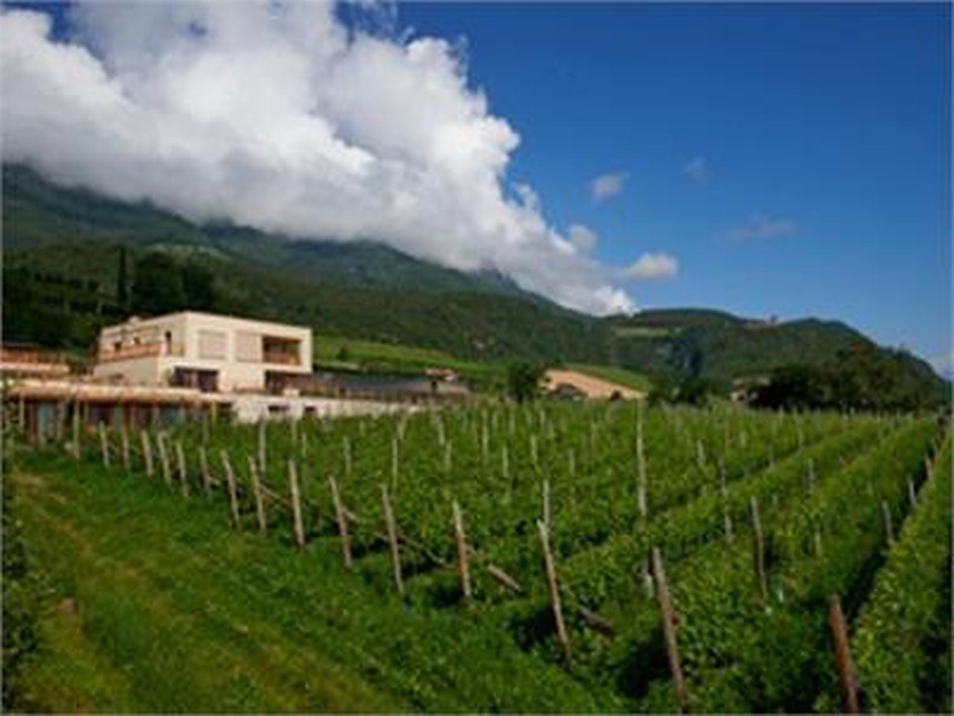 Weingut Stuck Eppan an der Weinstaße/Appiano sulla Strada del Vino 1 suedtirol.info