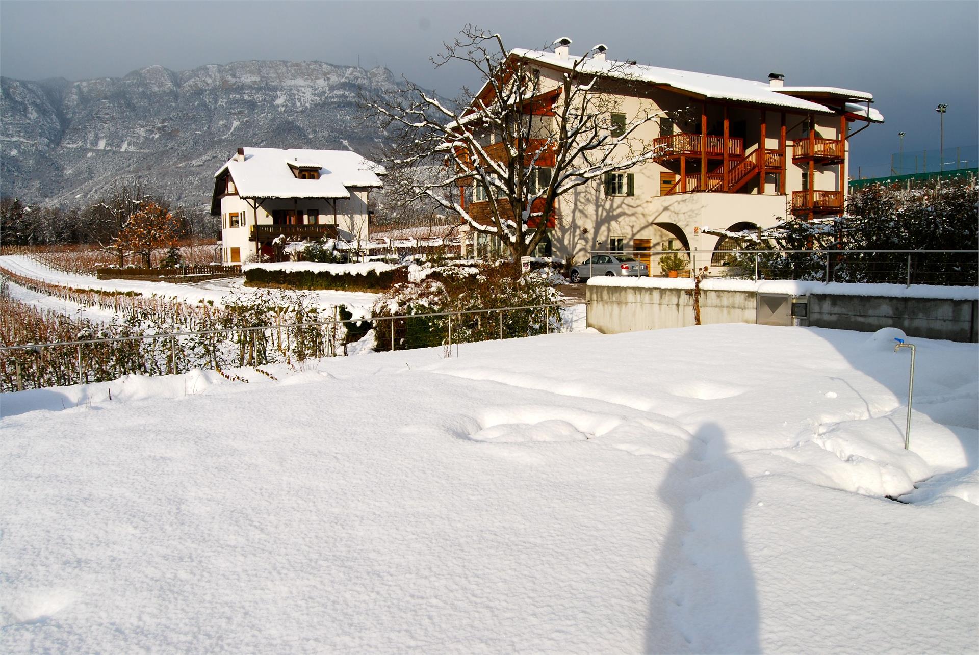 Waldthalerhof Eppan an der Weinstraße 13 suedtirol.info