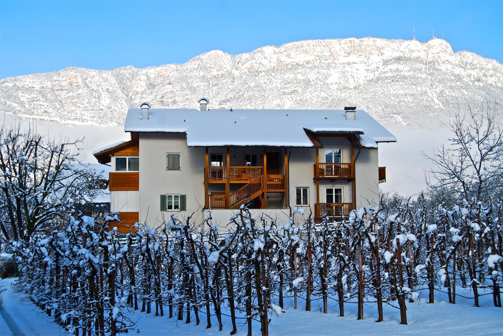 Waldthalerhof Eppan an der Weinstraße 12 suedtirol.info