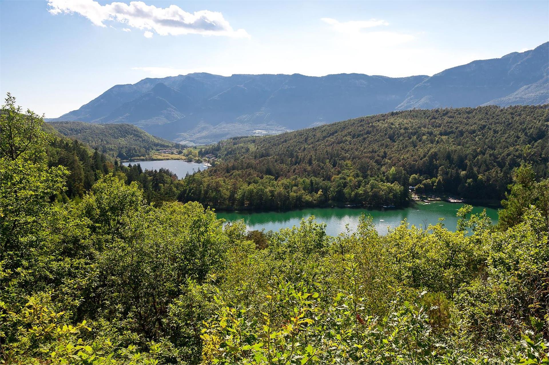 Waldthalerhof Eppan an der Weinstraße 8 suedtirol.info