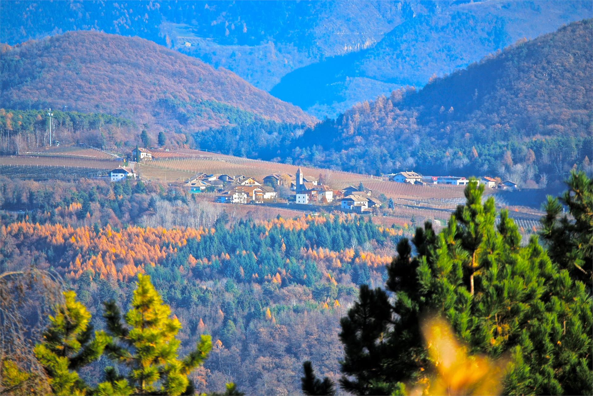 Waldthalerhof Eppan an der Weinstraße 14 suedtirol.info