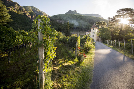 Tenuta Kornell - living Terlano 2 suedtirol.info