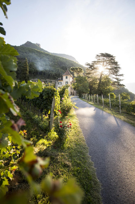 Tenuta Kornell - living Terlano 3 suedtirol.info