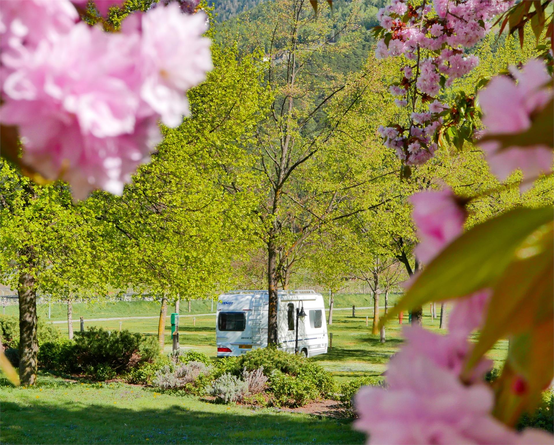 Waldcamping Naturns/Naturno 5 suedtirol.info