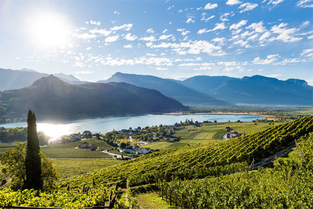 Ap. Winklkeller Caldaro sulla Strada del Vino 2 suedtirol.info