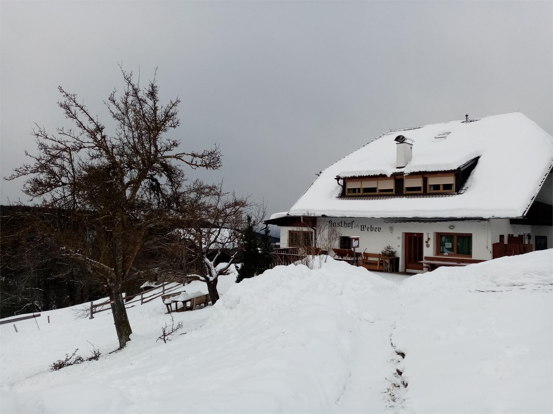 Weberhof in Gebrack Renon 1 suedtirol.info