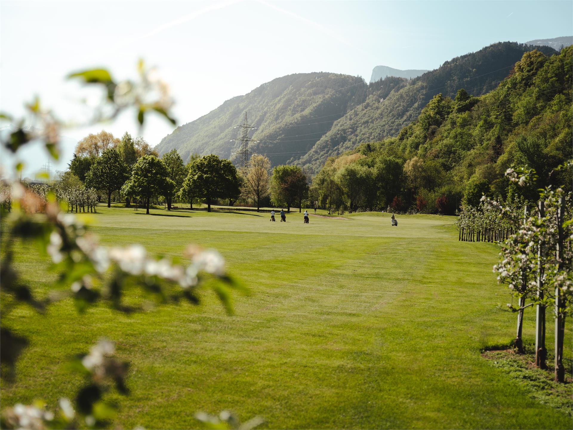 Apple blossom Golf tournament - Lana blüht 2025 Lana 1 suedtirol.info