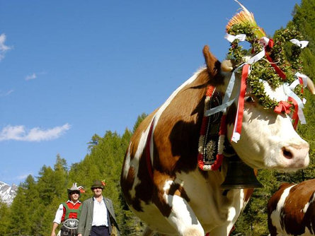 Traditional mountain meadow at Tiers am Rosengarten Tiers am Rosengarten/Tires al Catinaccio 1 suedtirol.info