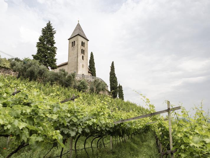 Hiking tour: Tramin - Margreid Schenna/Scena 1 suedtirol.info