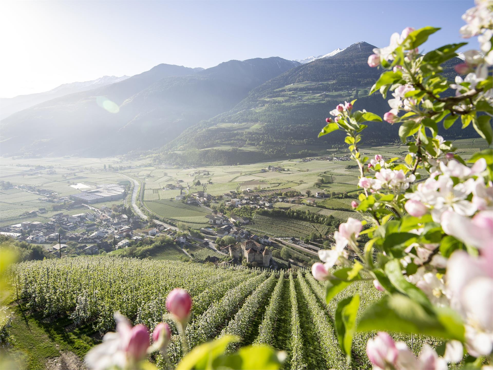 Escursione da Naturno a Parcines e Plars Scena 1 suedtirol.info