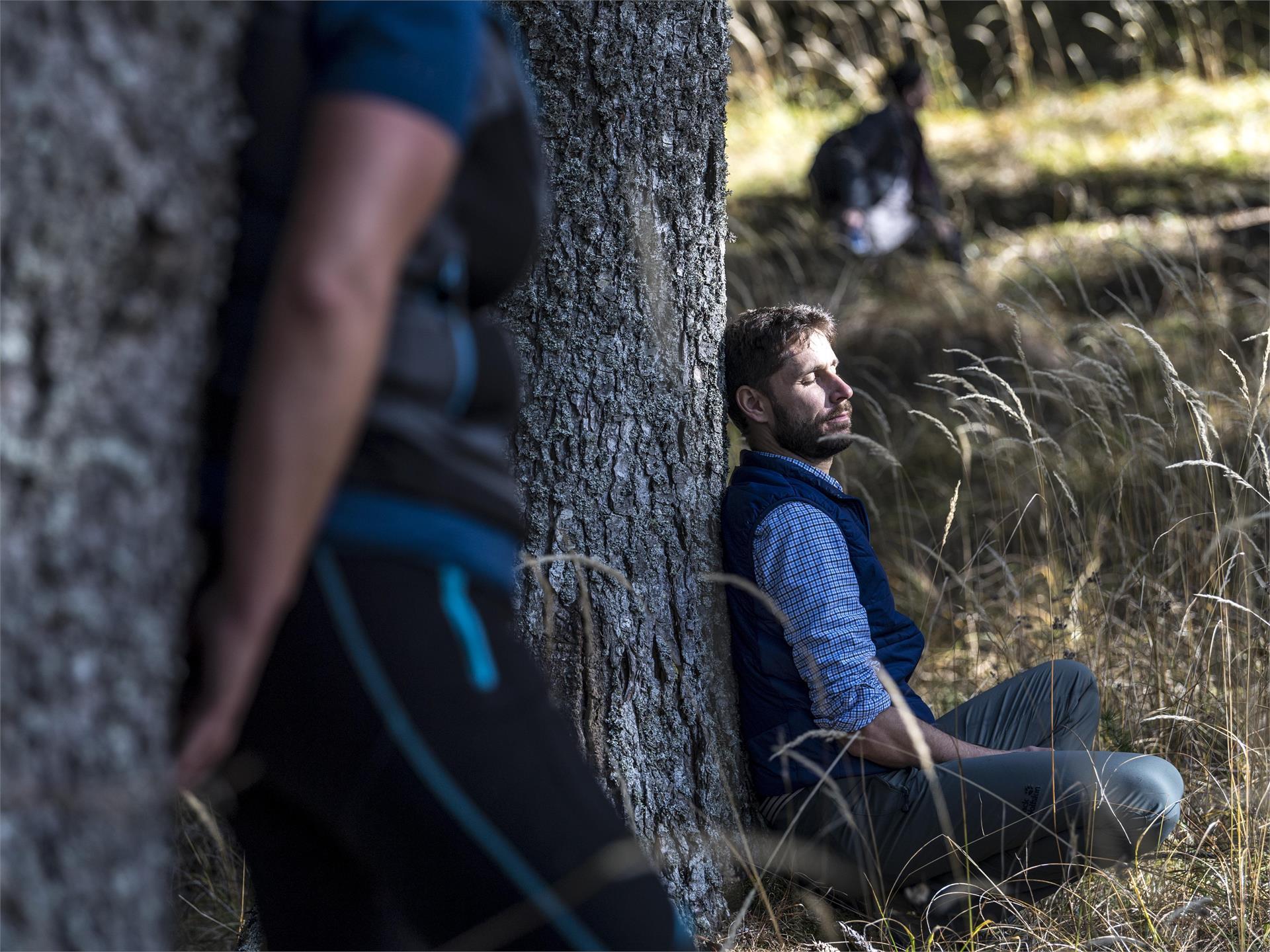 Bagno nella foresta '23 Parcines 3 suedtirol.info