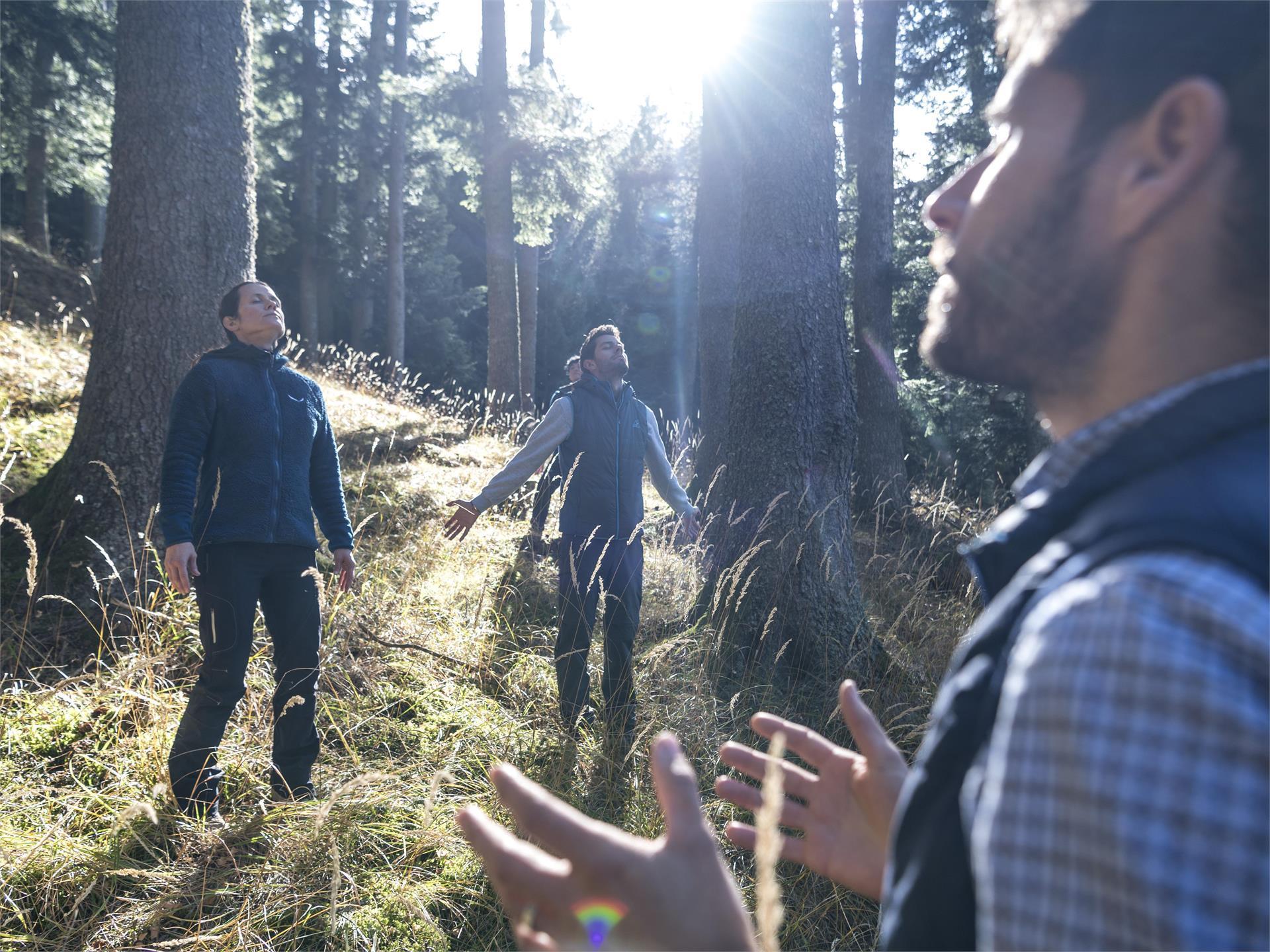 Bagno nella foresta '23 Parcines 1 suedtirol.info