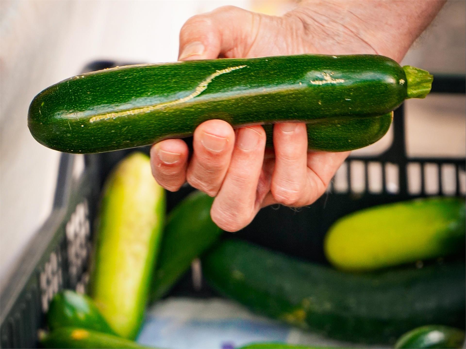 Farmers' market on the village square with live music Tiers am Rosengarten/Tires al Catinaccio 1 suedtirol.info