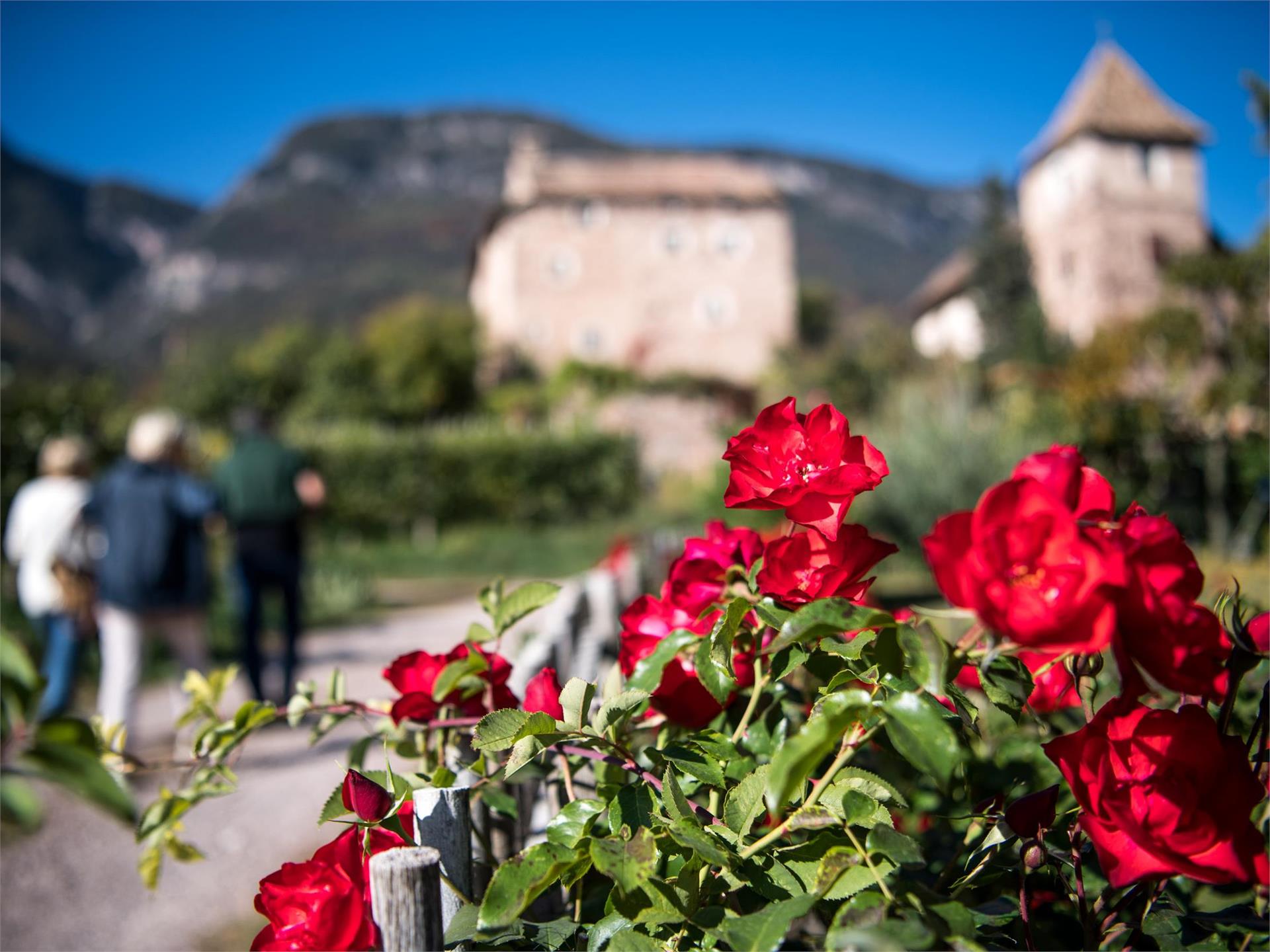 Castelmusika Eppan an der Weinstaße/Appiano sulla Strada del Vino 3 suedtirol.info