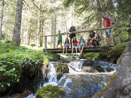 Carezza skischool summer – Kleine Waldarbeiter/innen Welschnofen 1 suedtirol.info