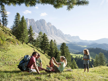Dolomiti Ranger - Discover the kingdom of the flora and fauna of the Dolomites Villnöss/Funes 3 suedtirol.info