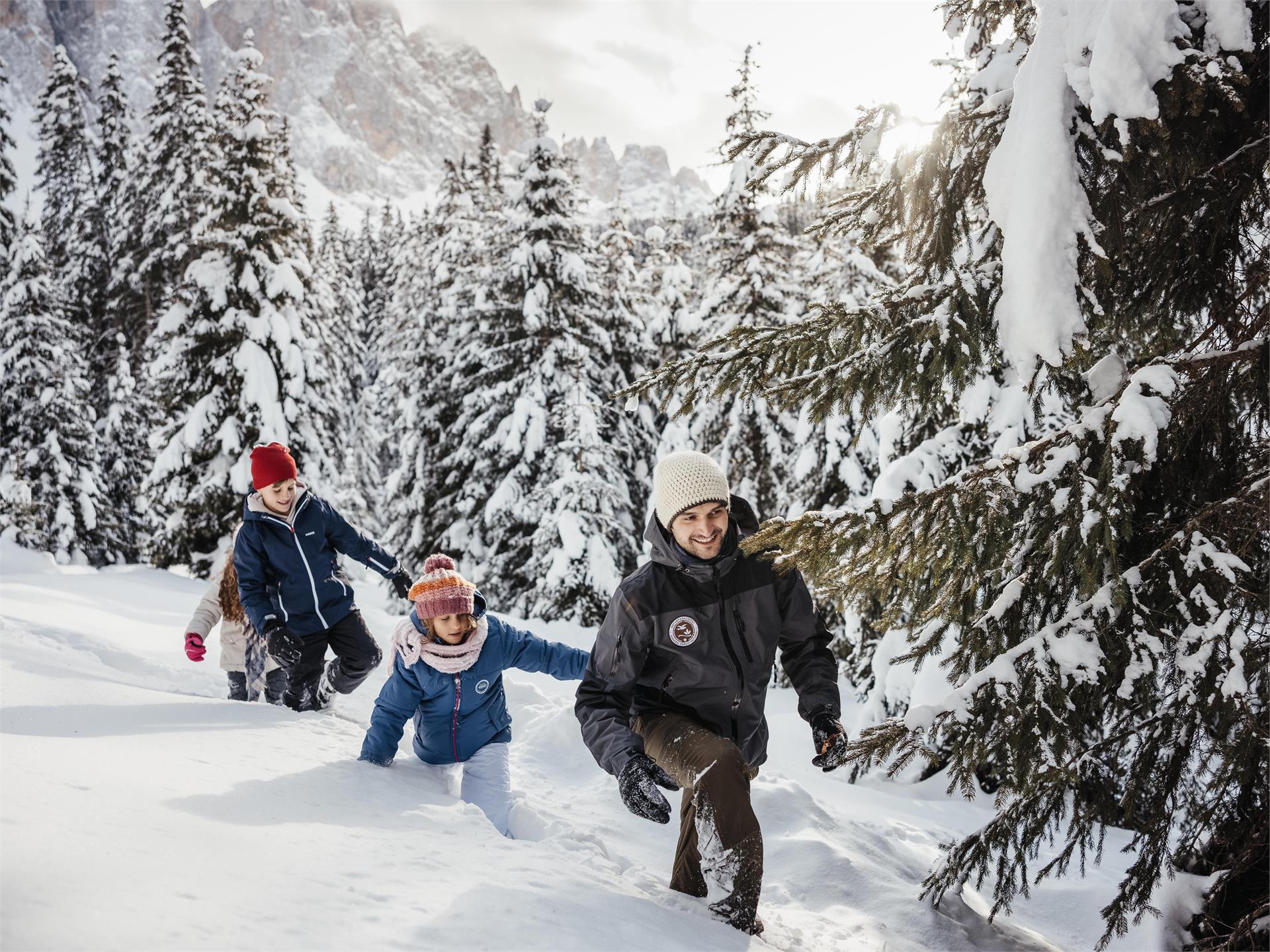 Dolomiti Ranger - Animals in winter: Tracks & survival Villnöss/Funes 1 suedtirol.info