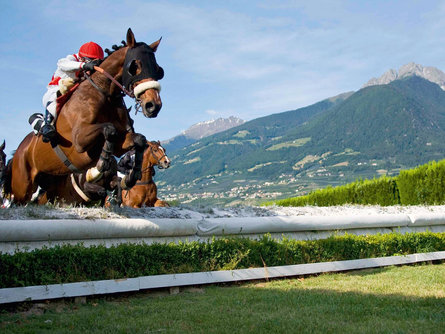 Tirolo Day all'ippodromo di Merano Tirolo 1 suedtirol.info