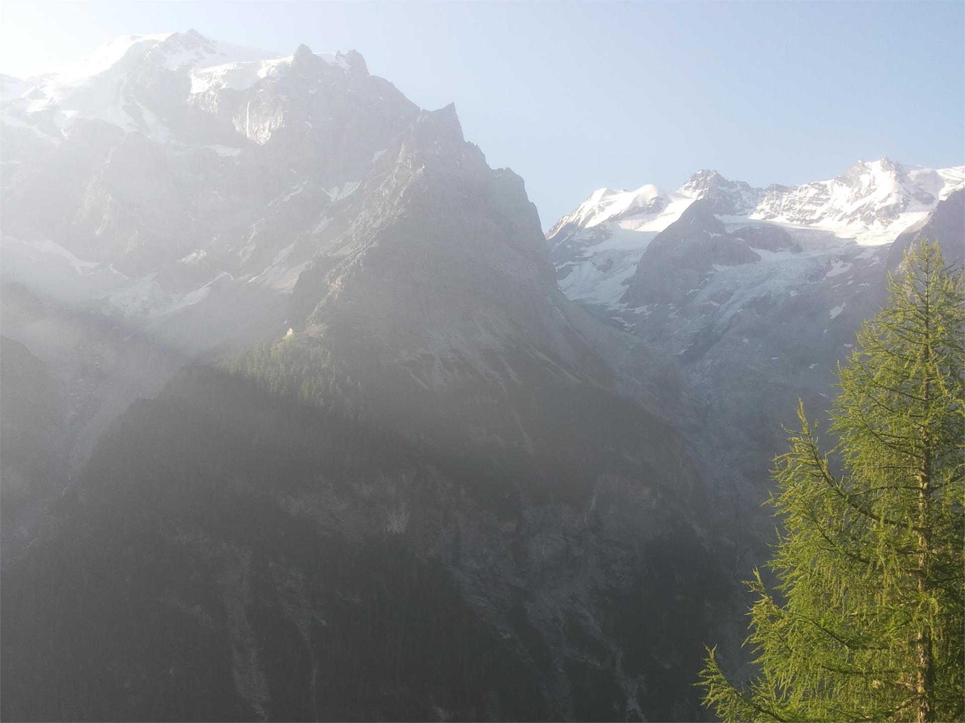 Il gipeto impara a volare a Trafoi Stelvio 3 suedtirol.info