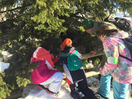 Dolomiti Ranger: Entdeckungsreise in die Winterwelt der Tiere und Hexen Kastelruth 2 suedtirol.info