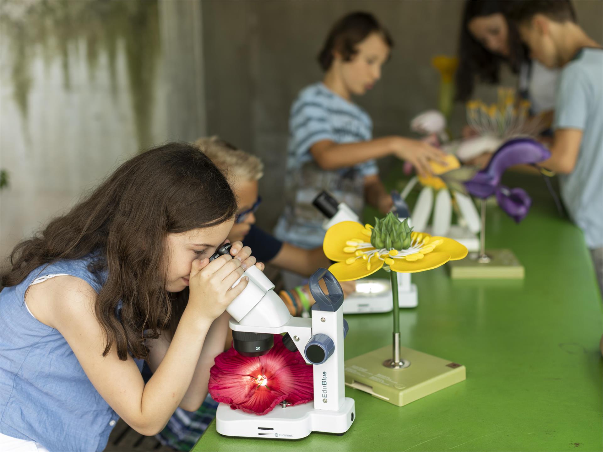 Family Day in Spring Meran/Merano 1 suedtirol.info