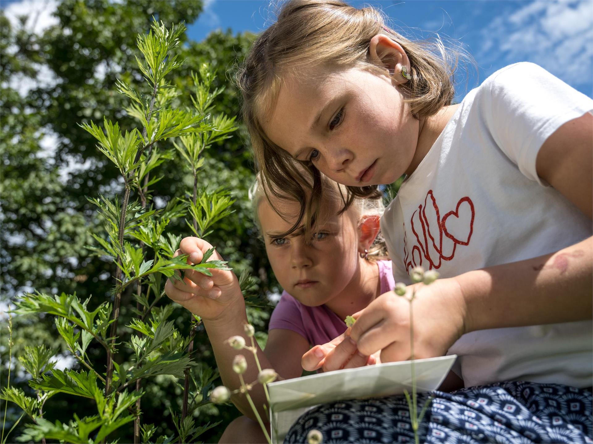 Familienprogramm: Kreative Naturwerkstatt Schenna 1 suedtirol.info