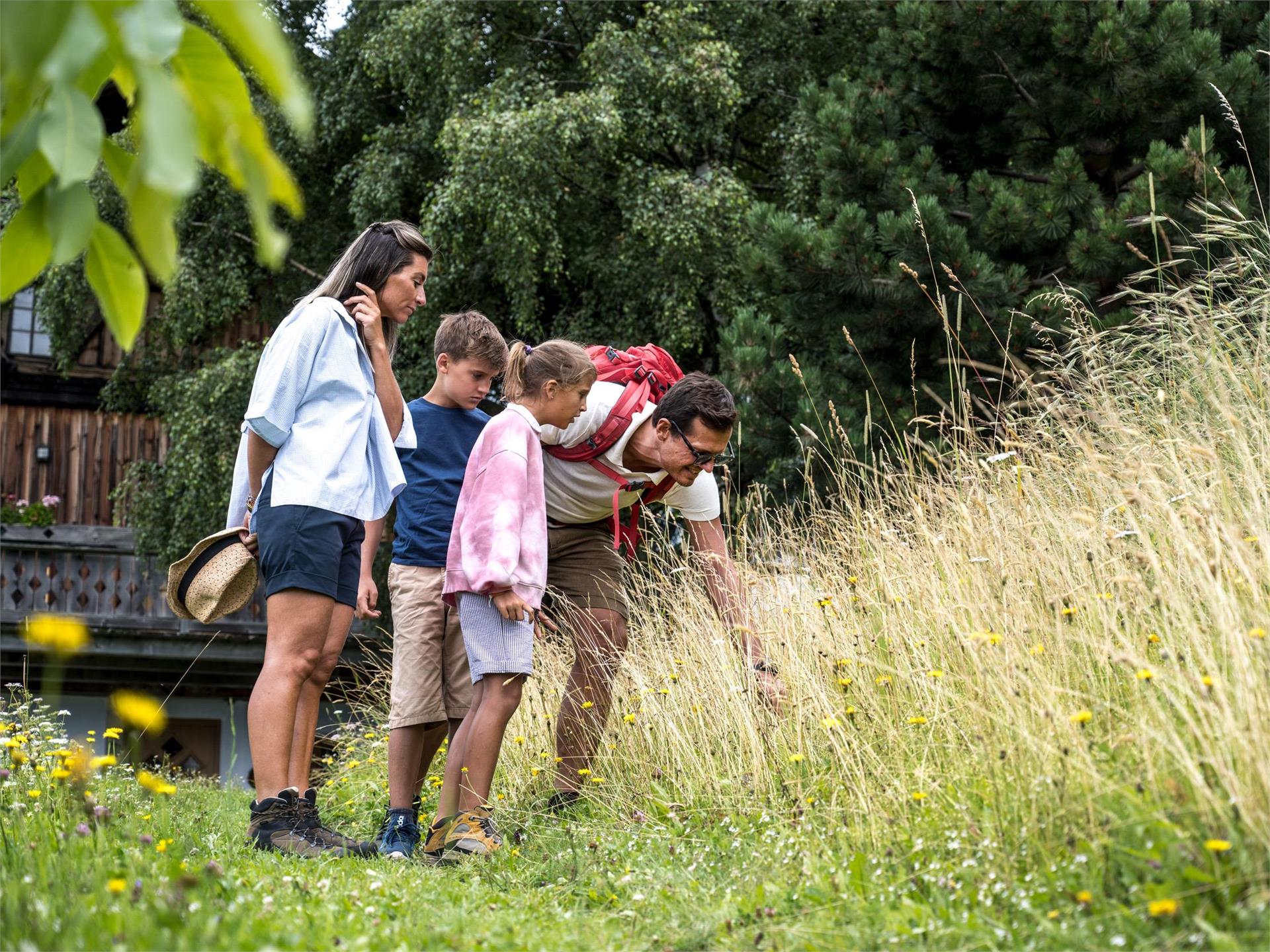 Familienprogramm: Kreative Naturwerkstatt Schenna 2 suedtirol.info