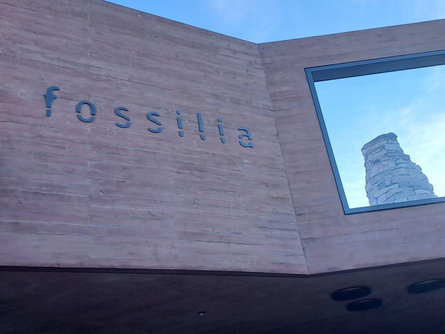 Fossilia - Il museo Meltina 3 suedtirol.info