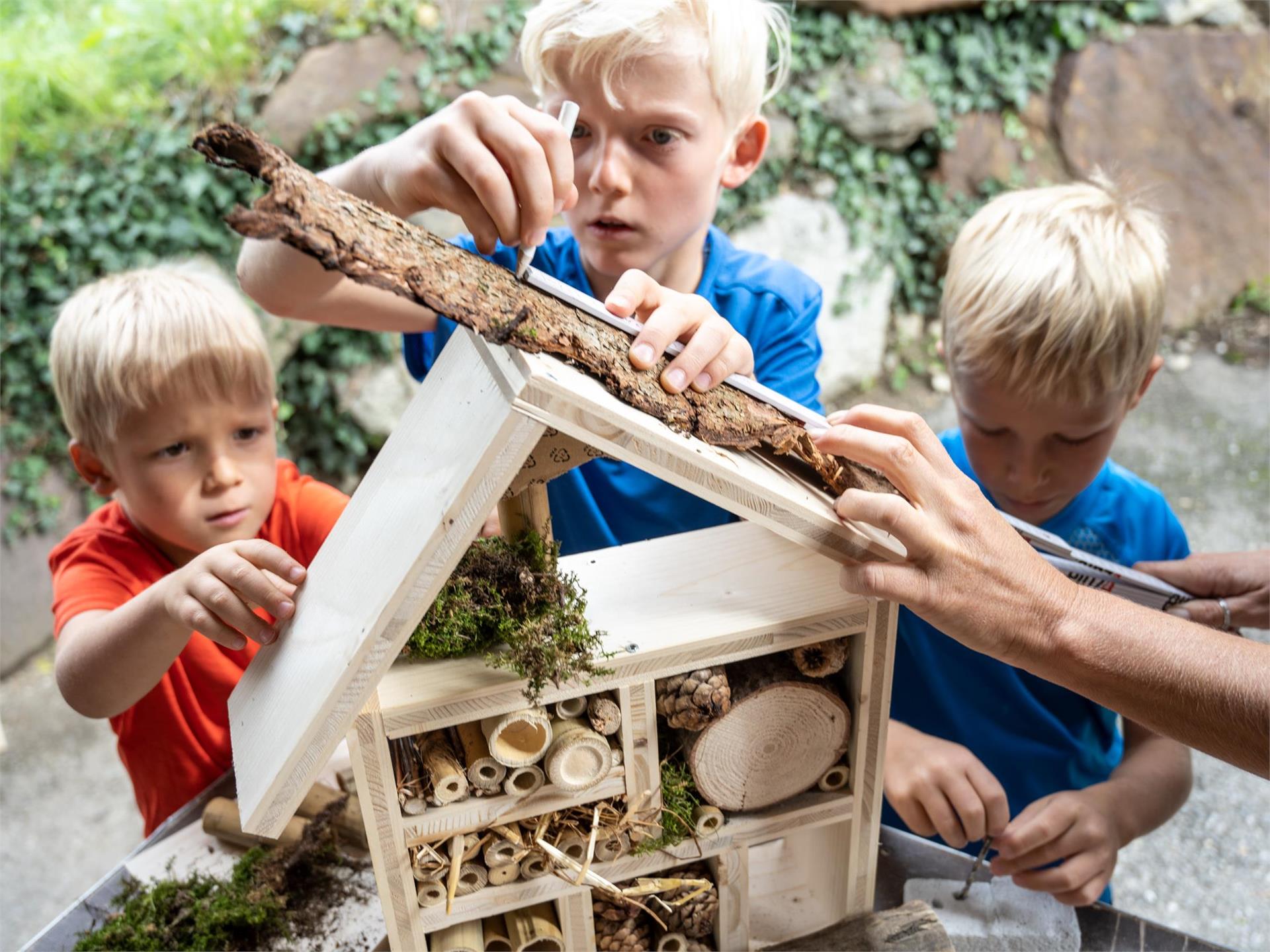 Programma per famiglie: Affittasi ad api e amici casetta per insetti fai da te Scena 3 suedtirol.info