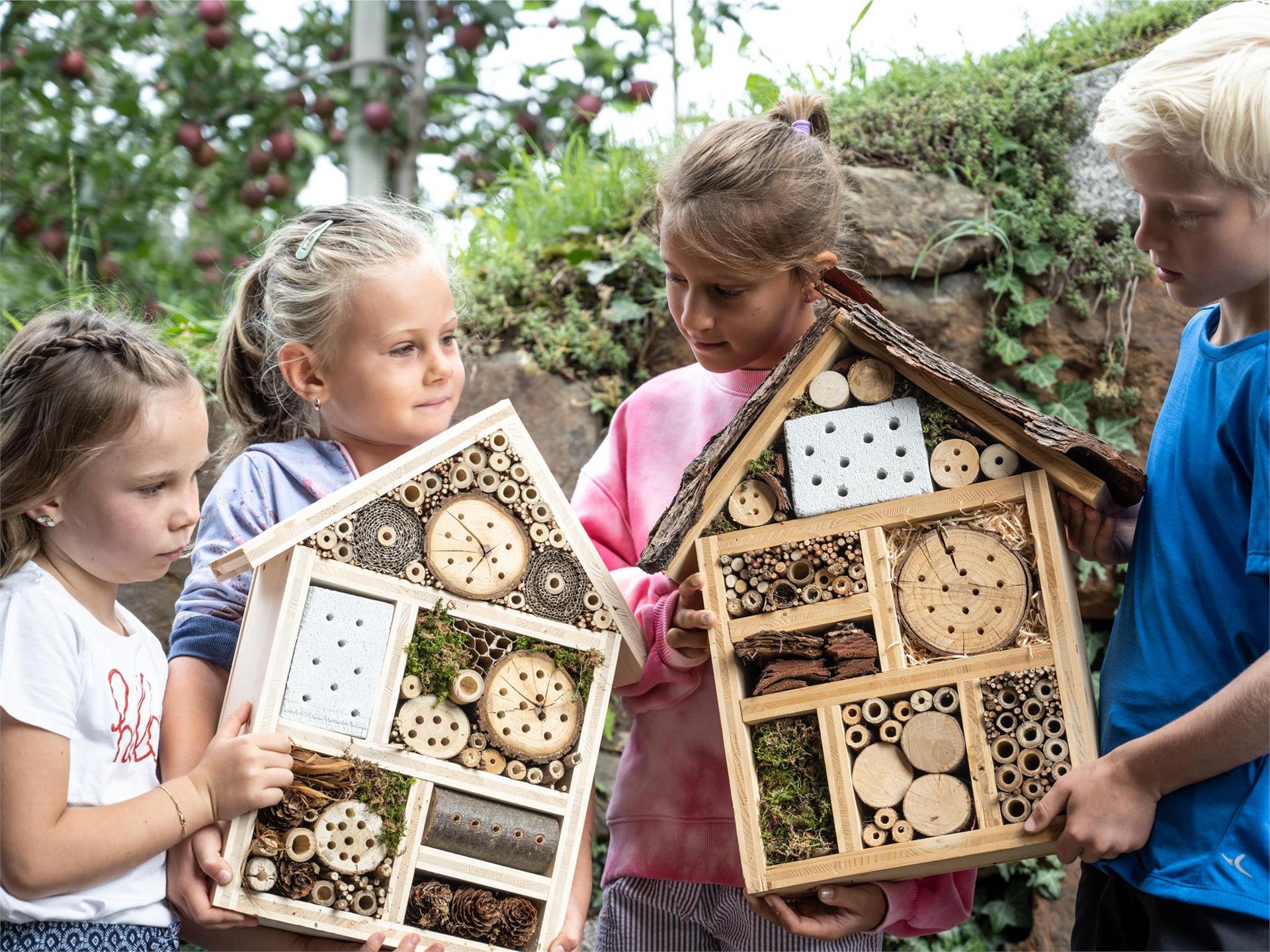 Programma per famiglie: Affittasi ad api e amici casetta per insetti fai da te Scena 1 suedtirol.info