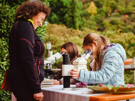 Autunno ai Giardini – Una Giornata per le Famiglie Merano 1 suedtirol.info