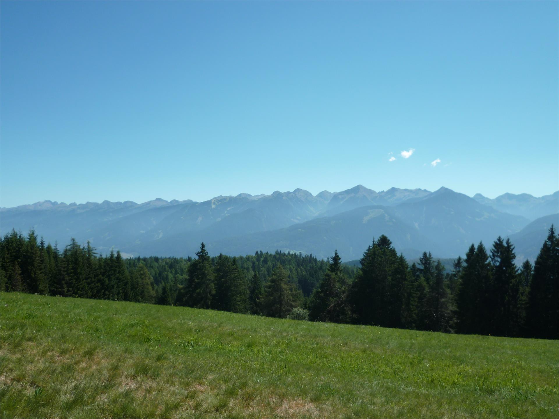 Escursione guidata nel Parco Naturale Monte Corno "Paesaggio quieto” Trodena 3 suedtirol.info