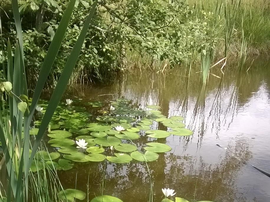 Escursione guidata nel Parco Naturale Monte Corno "Paesaggio quieto” Trodena 1 suedtirol.info