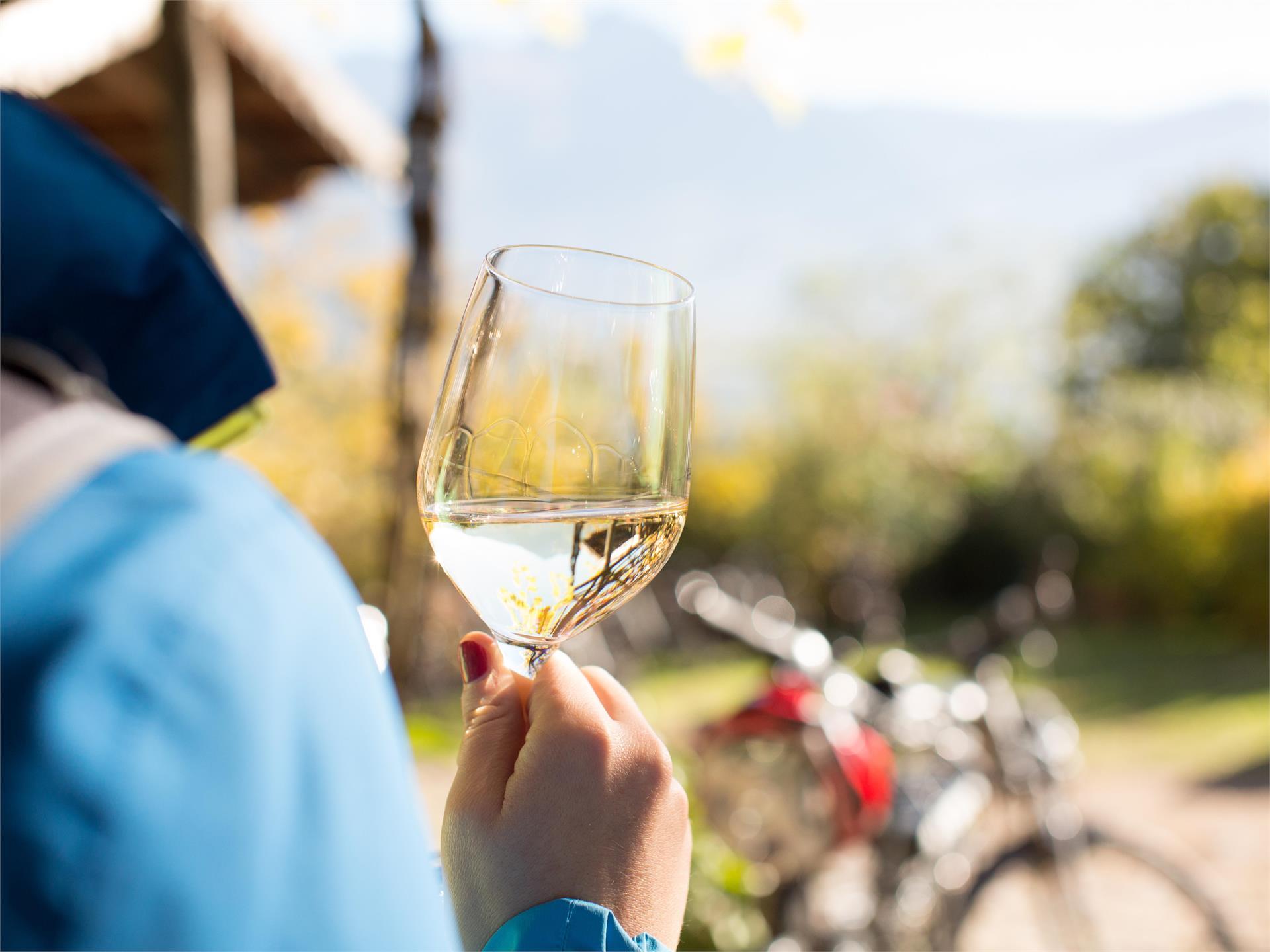 Gastronomic tour of the Merano area with e-bike Meran/Merano 1 suedtirol.info