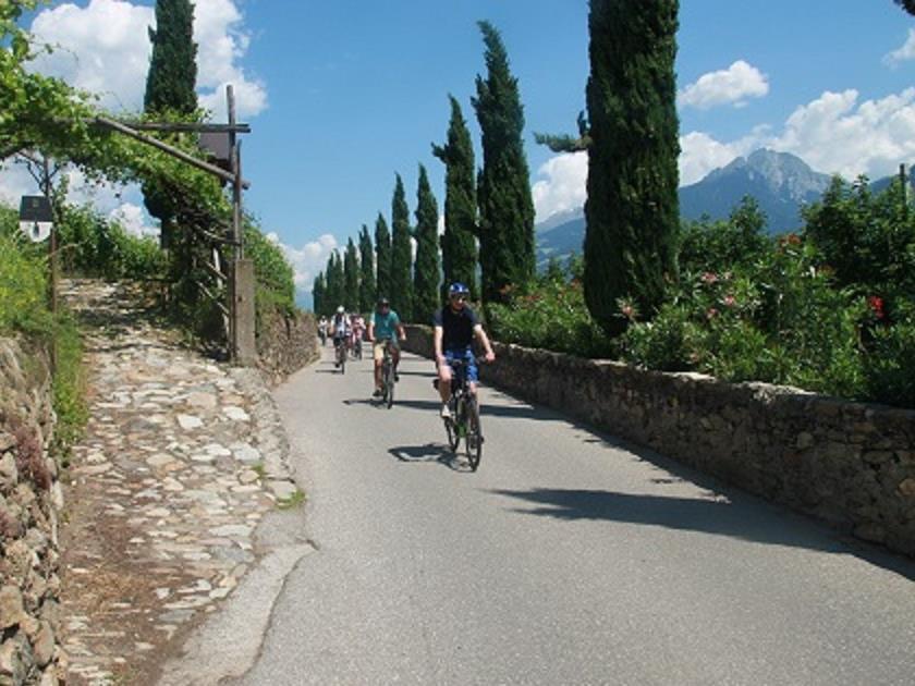 Gastronomic tour of the Merano area with e-bike Meran/Merano 3 suedtirol.info