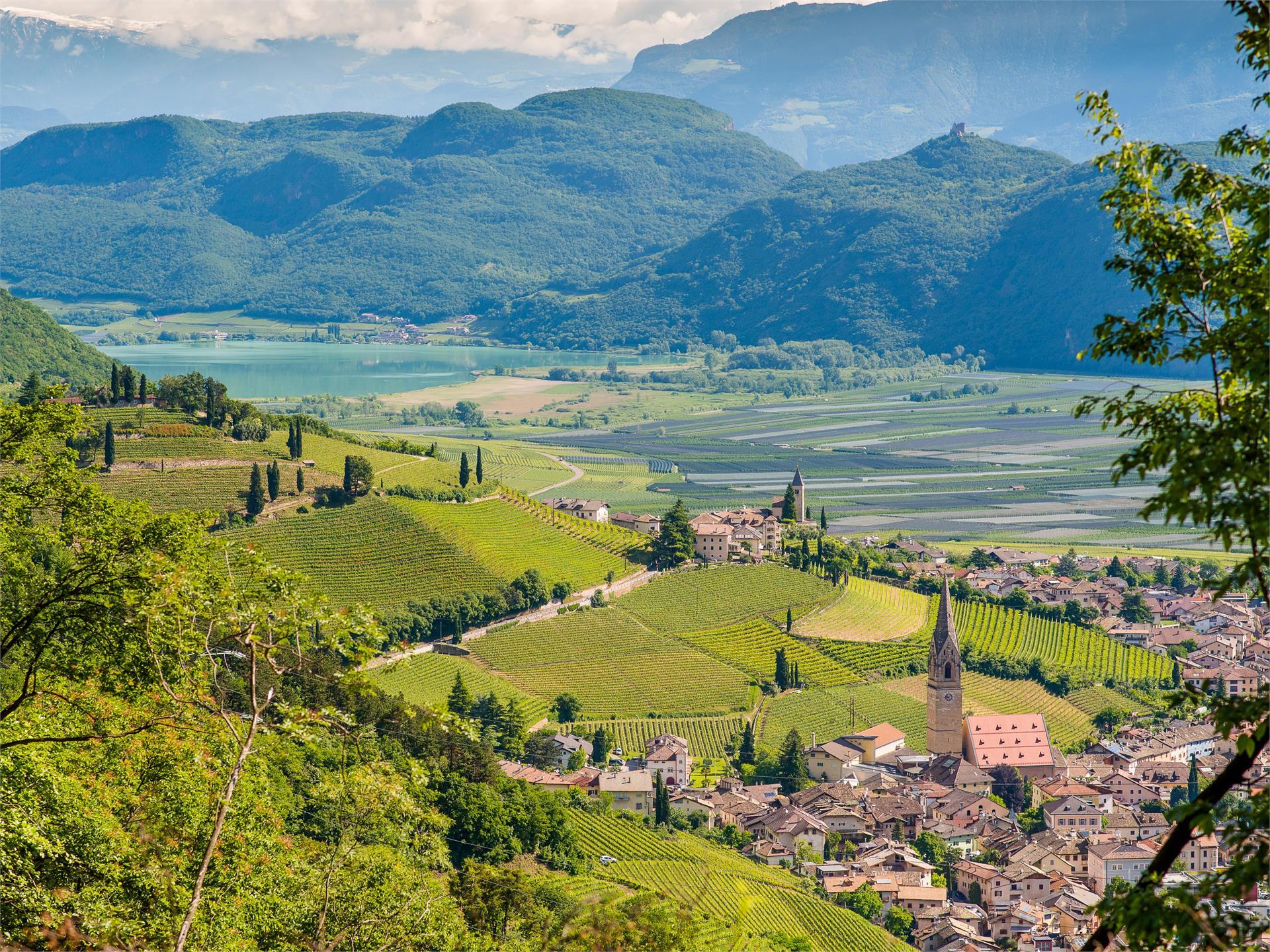 Guided Hiking Tours Tramin and surroundings Tramin an der Weinstraße/Termeno sulla Strada del Vino 3 suedtirol.info