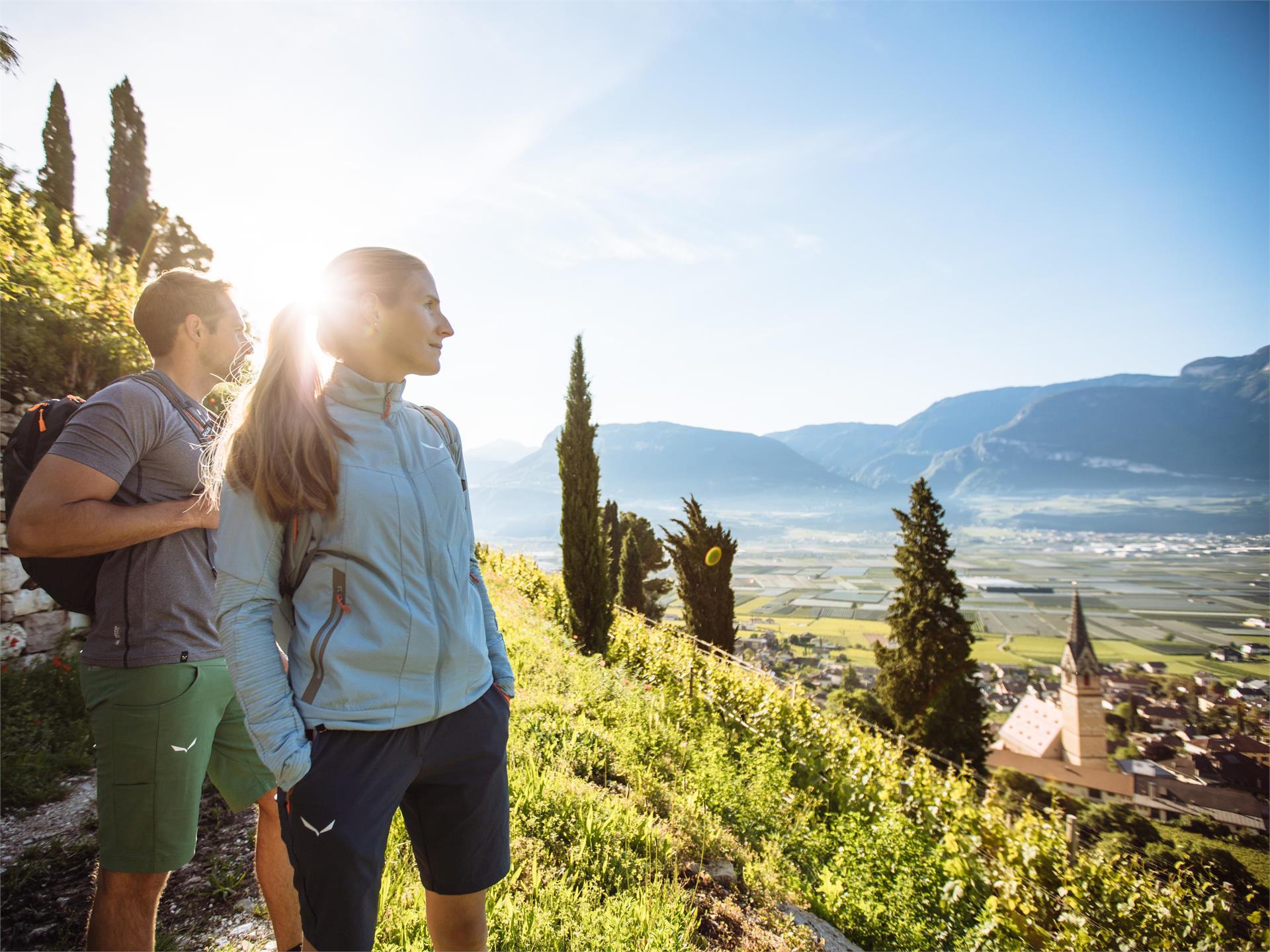 Guided Hiking Tours Tramin and surroundings Tramin an der Weinstraße/Termeno sulla Strada del Vino 1 suedtirol.info