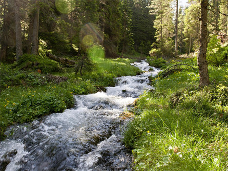 Escursione guidata sul sentiero Adolf-Munkel a Val di Funes Marlengo 2 suedtirol.info