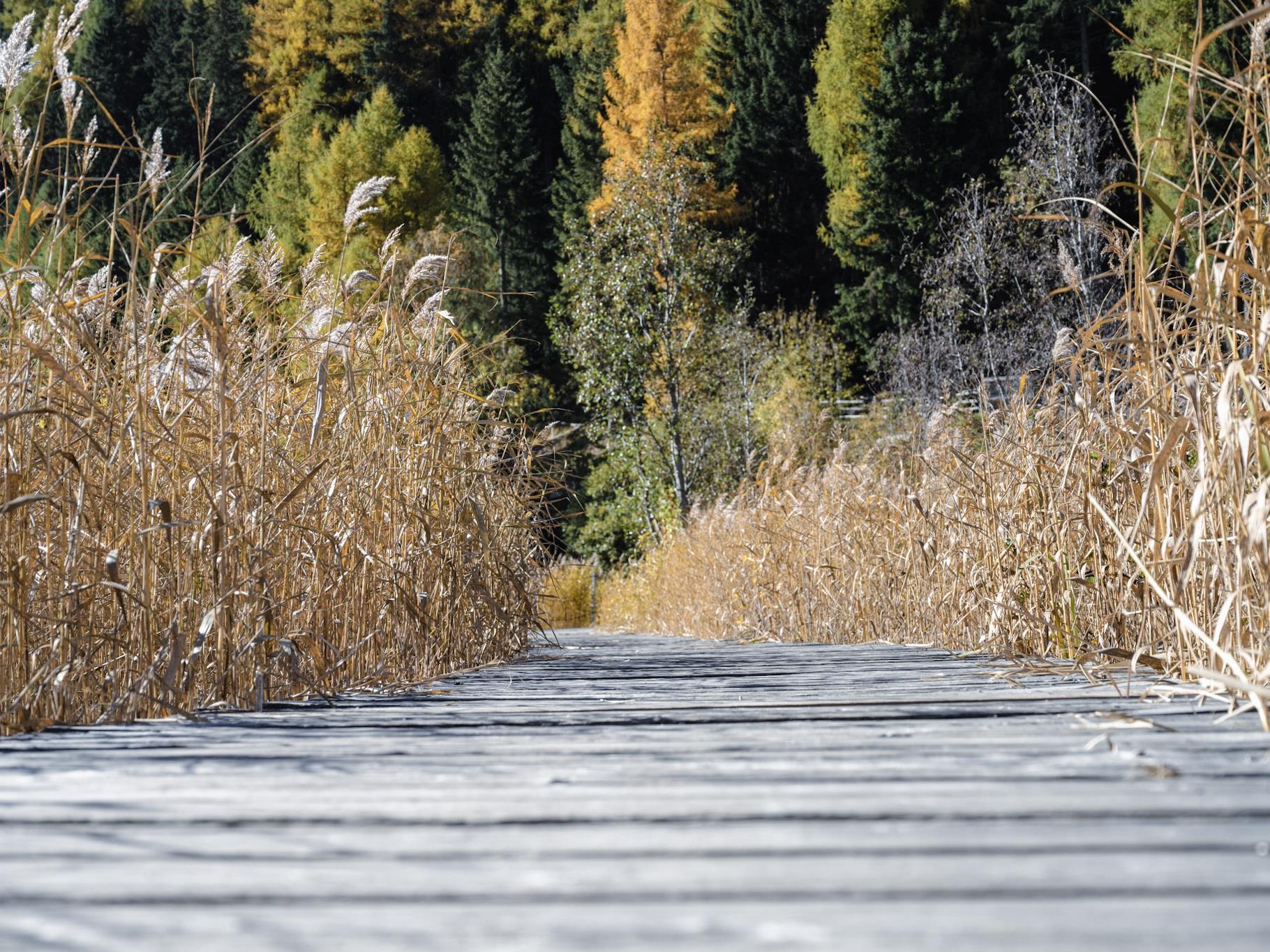  Graun im Vinschgau/Curon Venosta 2 suedtirol.info