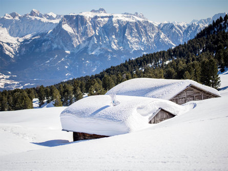 Ski bus from Villanders and Barbian to the Rittner Horn - free Villanders/Villandro 2 suedtirol.info