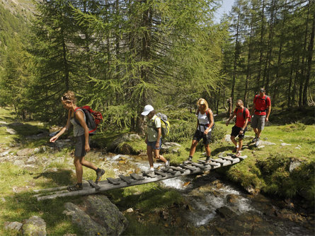 Escursione guidata "Tret-Lago di Tret-San Felice" Lana 1 suedtirol.info