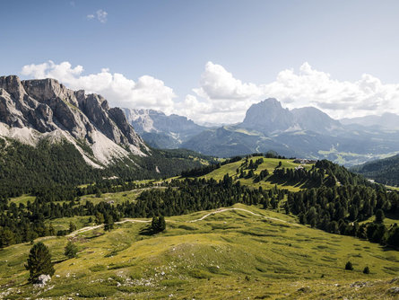 Guided hiking tour in the valley Val Gardena Marling/Marlengo 1 suedtirol.info