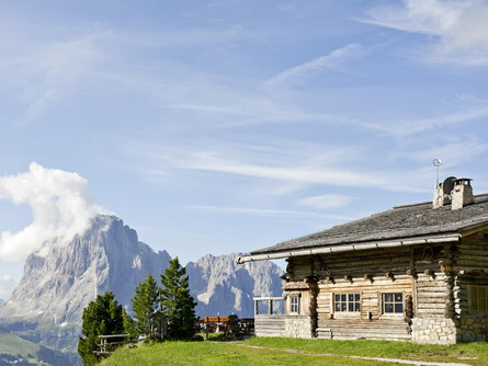 Guided hiking tour in the valley Val Gardena Marling/Marlengo 3 suedtirol.info