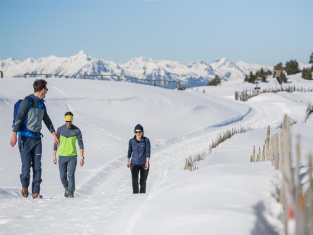 Guided tour - Rodenecker Alp Hut St.Lorenzen/San Lorenzo di Sebato 1 suedtirol.info