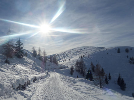 Escurisone invernale guidata: Al Giogo della Croce Verano 2 suedtirol.info