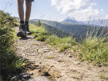 Guided guest hike on the Salten plateau Algund/Lagundo 1 suedtirol.info